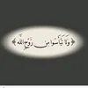 white_lights135
