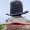 fishstick348