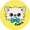 Tiny Chihuahua Cedric