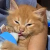 leiqncn