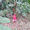 gracekamleecolqui
