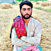 shancheema8970