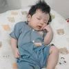 novidakay14