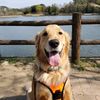 luke_0808