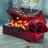 user8096571291408ali