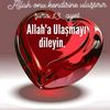 user0el5k6dppq