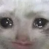 greiegfan