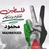 mahmoudkhaled5920