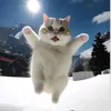stev_4_u