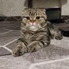 tatyana_user1983
