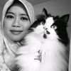 dinas73