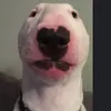 pajaaaaa122