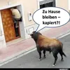 simon..5