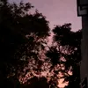 elliuew