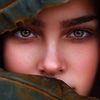 lina.arno