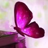 limoshka_04
