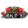 6n.p_x