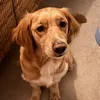 eddieunleashed