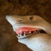 mean_shark_puppet