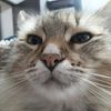 leo_fr5.7