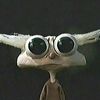 luispc