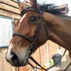 webb_065_