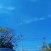 _tanahhidup