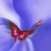 beautyfromtx10