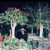nguyendung19856