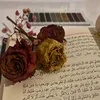salafii.hanbali_05