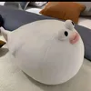nguyenthiha789