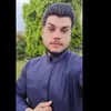 hamzawy433