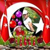 hasan_isik0