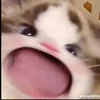 bla_bla_bla...3