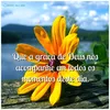 elizangelaribeiro73