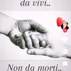 luciaspanu