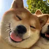 hngngcoo
