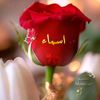 asmaamohammad66