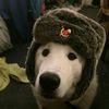 ugashyenny1