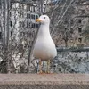 ugoturtle_