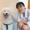 thuhuyen178