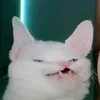rrrrr.rrrrr0