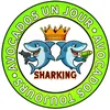 sharking_officiel