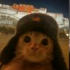 takitto360