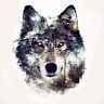 hunter_2235