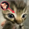 wwx_wwgs