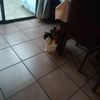lamalita_23
