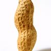 peanut8103