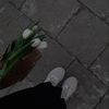 _firlysaskia06