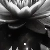 duongngocthanh_5